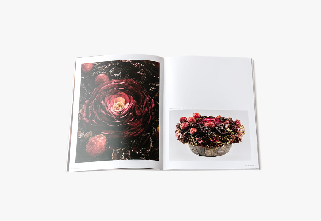 PUBLICATION Future Bloom1