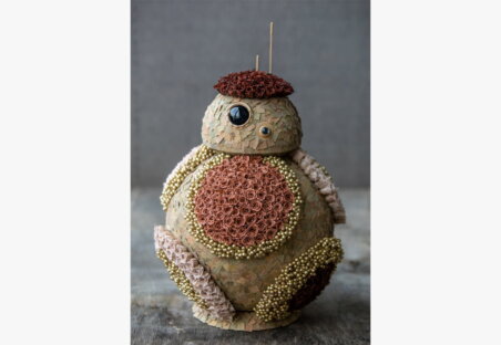 PROJECT BB8 5