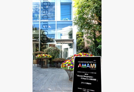 PROJECT AMAMI6