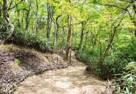 hakone gardens